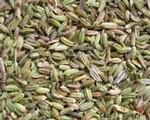 fennel
